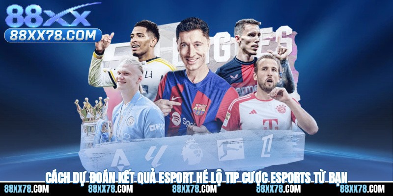 Cách Dự Đoán Kết Quả Esport - Hé Lộ Tip Cược Esports